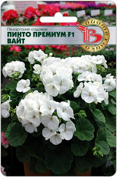 премиум вайт