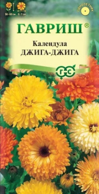 Георгина Джига-Джига