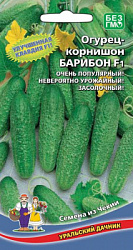 ogurec-kornishon-baribon-f1