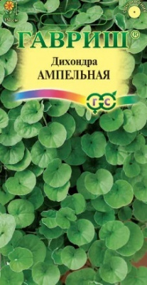 Дихондра ампельная