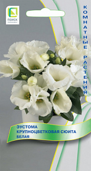 Eustoma-krupnocvetkovaya-Suita-Beleya