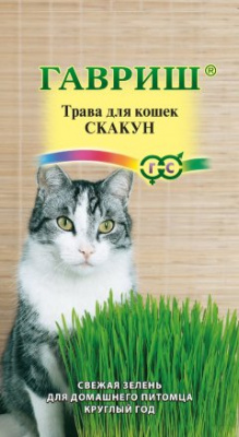Скакун цвет