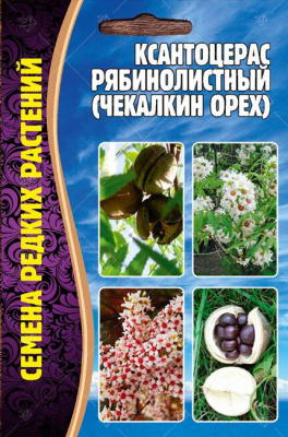 Ксантоцерас