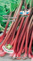 reven_chereshkovyy_viktoriya