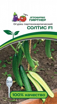 Огурец  Солтис