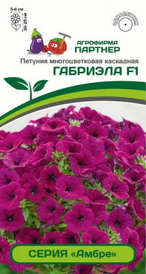 Петуния габриэла