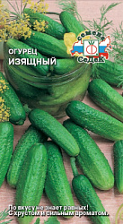 ogurets_izyashchnyy
