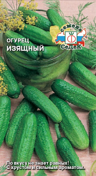 ogurets_izyashchnyy