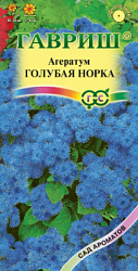 Голубая норка