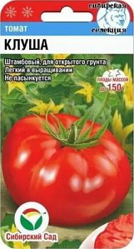Клуша
