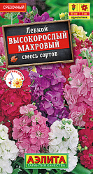 Левкой Высокорослый махровый, смесь сортов_ЦП