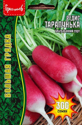 Редис тарапунька