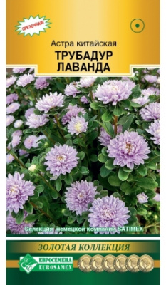 Астра трубадур лаванда