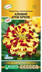 Бархатцы Алюмия Крем Брюле
