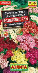 Тысячелистник Волшебные сны, смесь сортов_ЦП