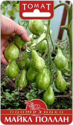Поллан