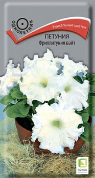 petunia_frillitunia_white