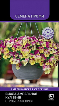 viola_ampelnaya_kul_veyv_stroberri_svirl