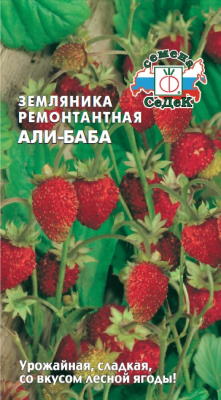 zemlyanika_ali_baba