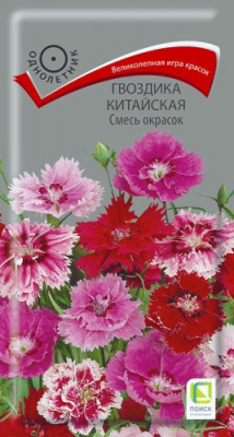 gvozdika_china_smes_okrasok
