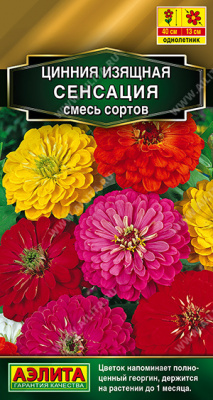 Цинния Сенсация, смесь сортов