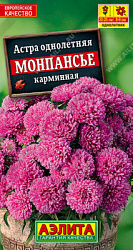 Астра монпансье карминная