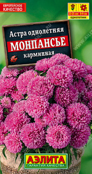 Астра монпансье карминная