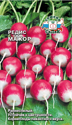 redis_mazhor_f1