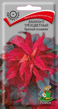 Амарант трехцветный Красный осьминог