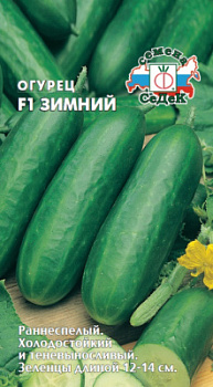 ogurets_zimniy_f1