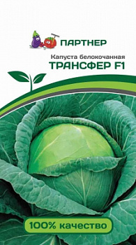 Капуста бк трансфер