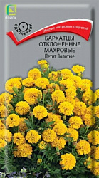 Бархатцы отклоненные махровые Петит золотые