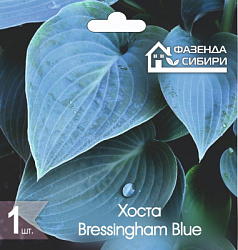 Хоста Bressingham Blue