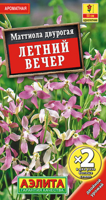 Маттиола Летний вечер_ЦП х2
