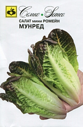 salat_kochannyj_munred