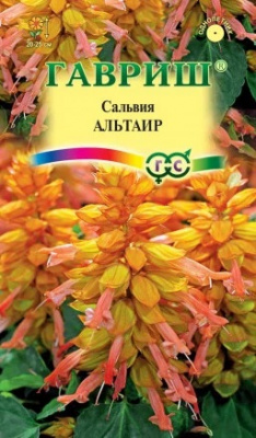 Альтаир