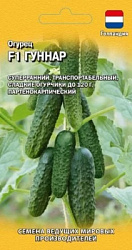 Гуннар