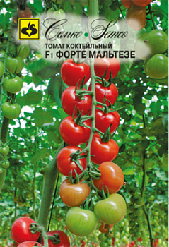 tomat_forte_malteze