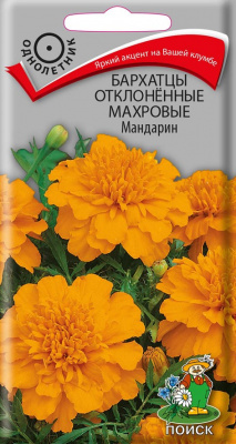 Бархатцы отклоненные махровые Мандарин