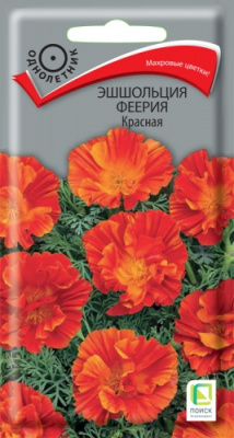 esholcia_feeria_krasnaya