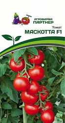 Томат маскотта