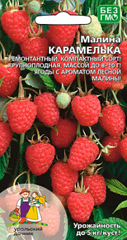 malina-karamelka