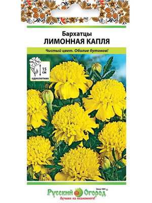 Бархатцы Лимонная капля