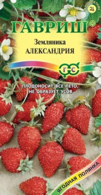 Земляника Александрия