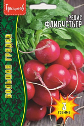 Редис Флибустьер