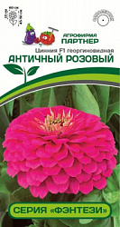 Цинния античный розовый