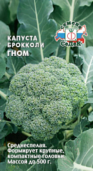 kapusta_gnom
