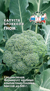 kapusta_gnom