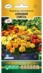 Бархатцы Алюмия смесь