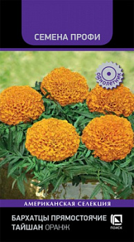 barhatsy_pryamost_taishan_orange
